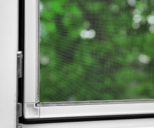 Антипыльца